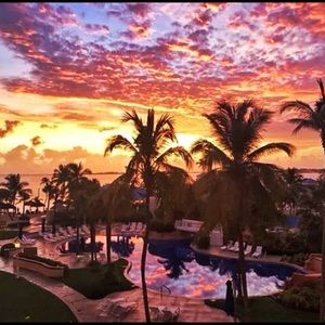 Meet your Posher, Shila